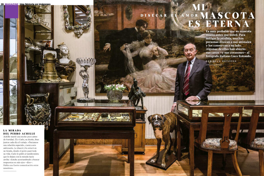 Luca Rotondo_fotografo_photographer_xlsemanal_lares_animal_pet_taxidermy