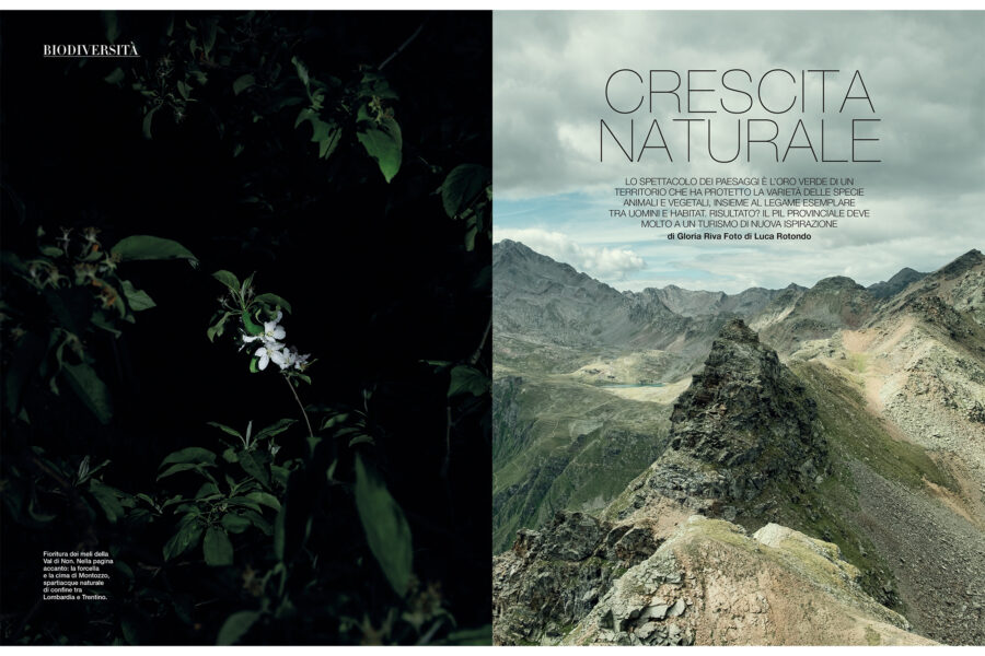 Luca Rotondo_fotografo_photographer_d la repubblica_magazine_trentino