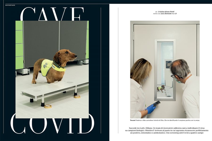 Luca Rotondo_D lui Repubblica_covid dog_medical detection dog