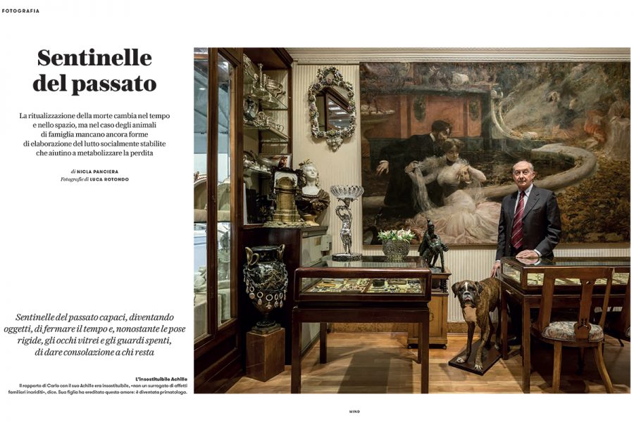 Mind_le scienze_lares_luca rotondo_tassidermia_animali domestici_taxidermy_pet